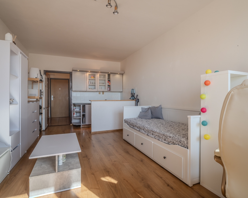 Prodej bytu 1+kk, Gen. Píky, Ostrava